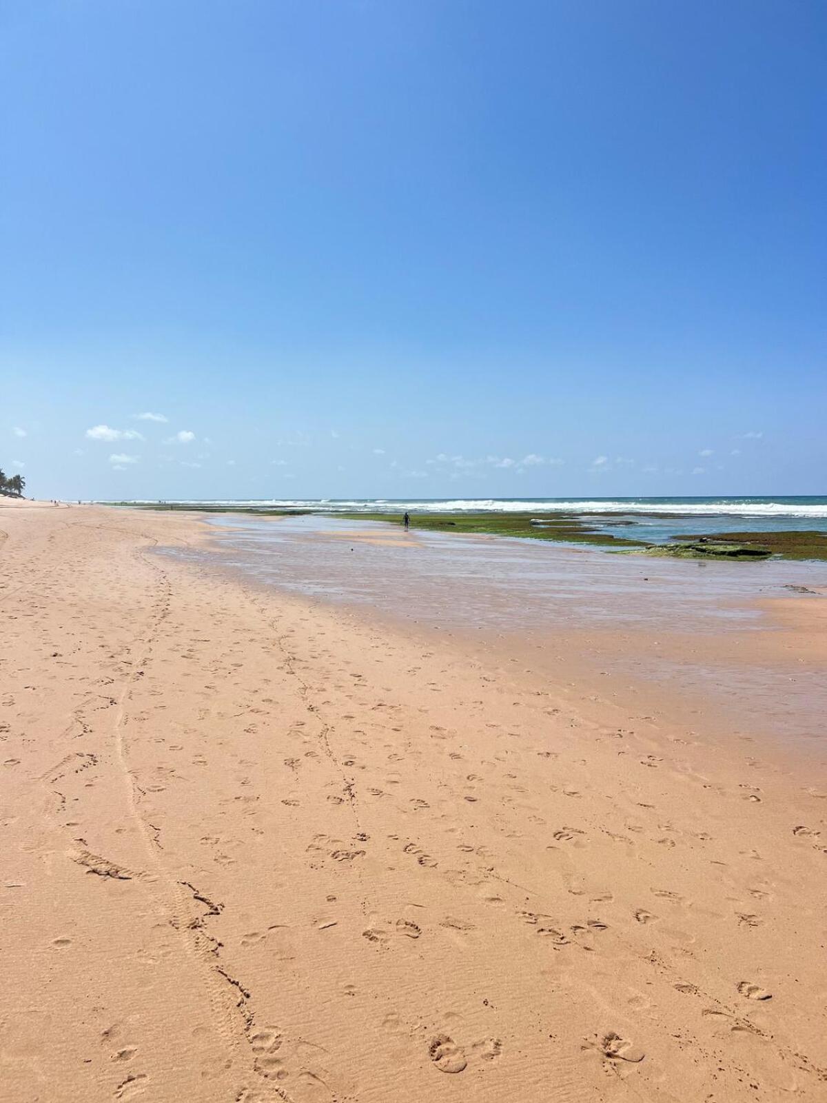 Praias Do Flamengo Em Casa Tomasoni Salvador