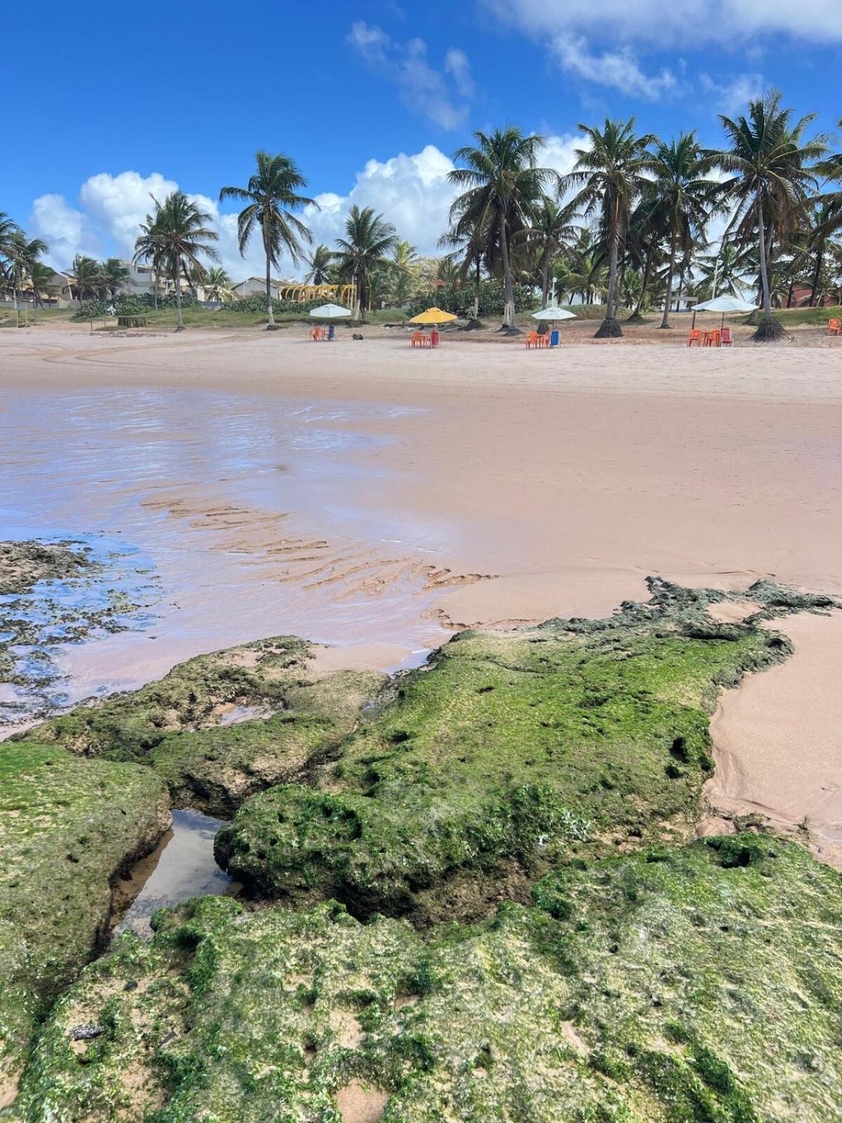 Praias Do Flamengo Em Casa Tomasoni Salvador