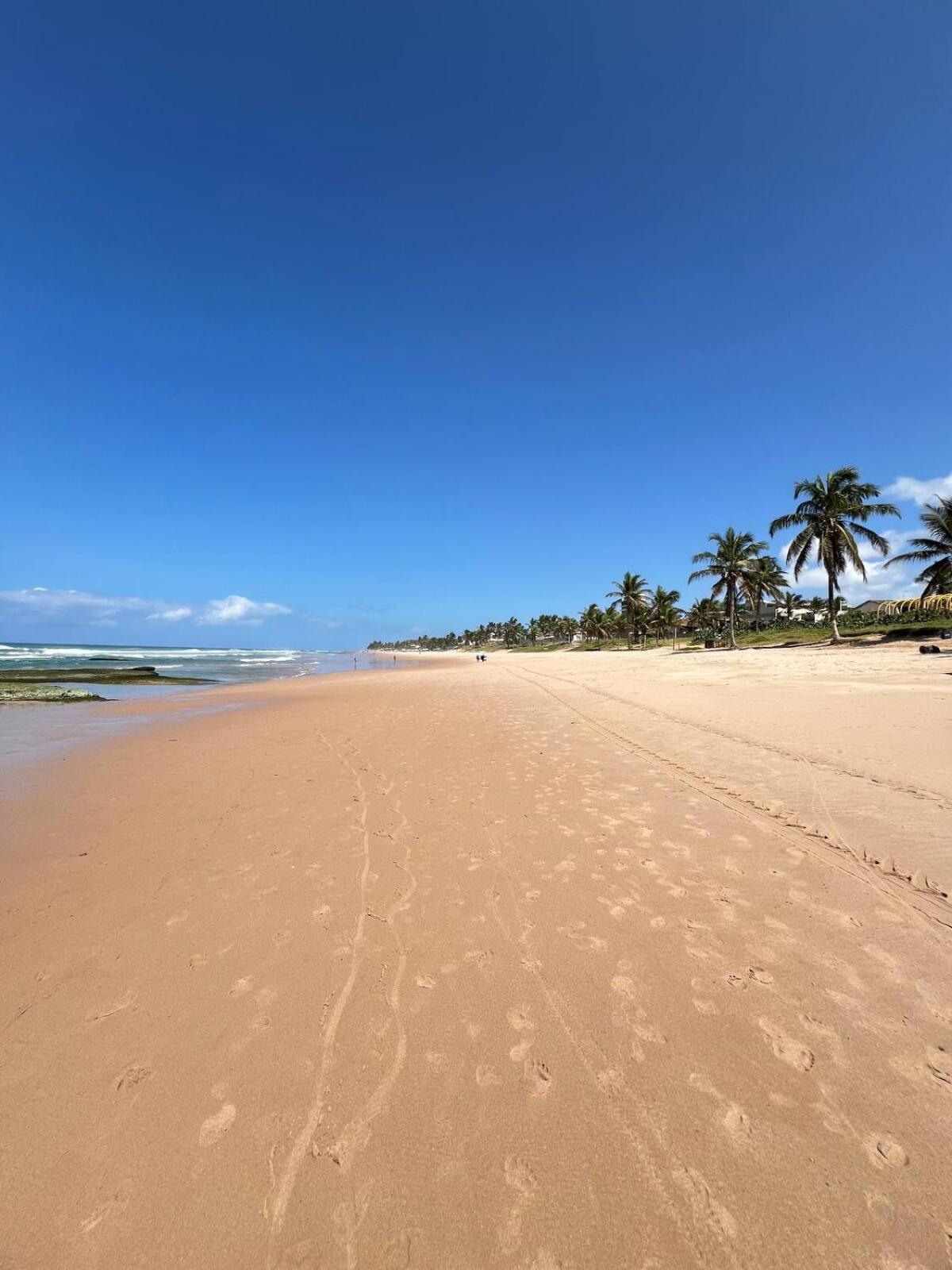 Apartamento Praias Do Flamengo Em Casa Tomasoni *