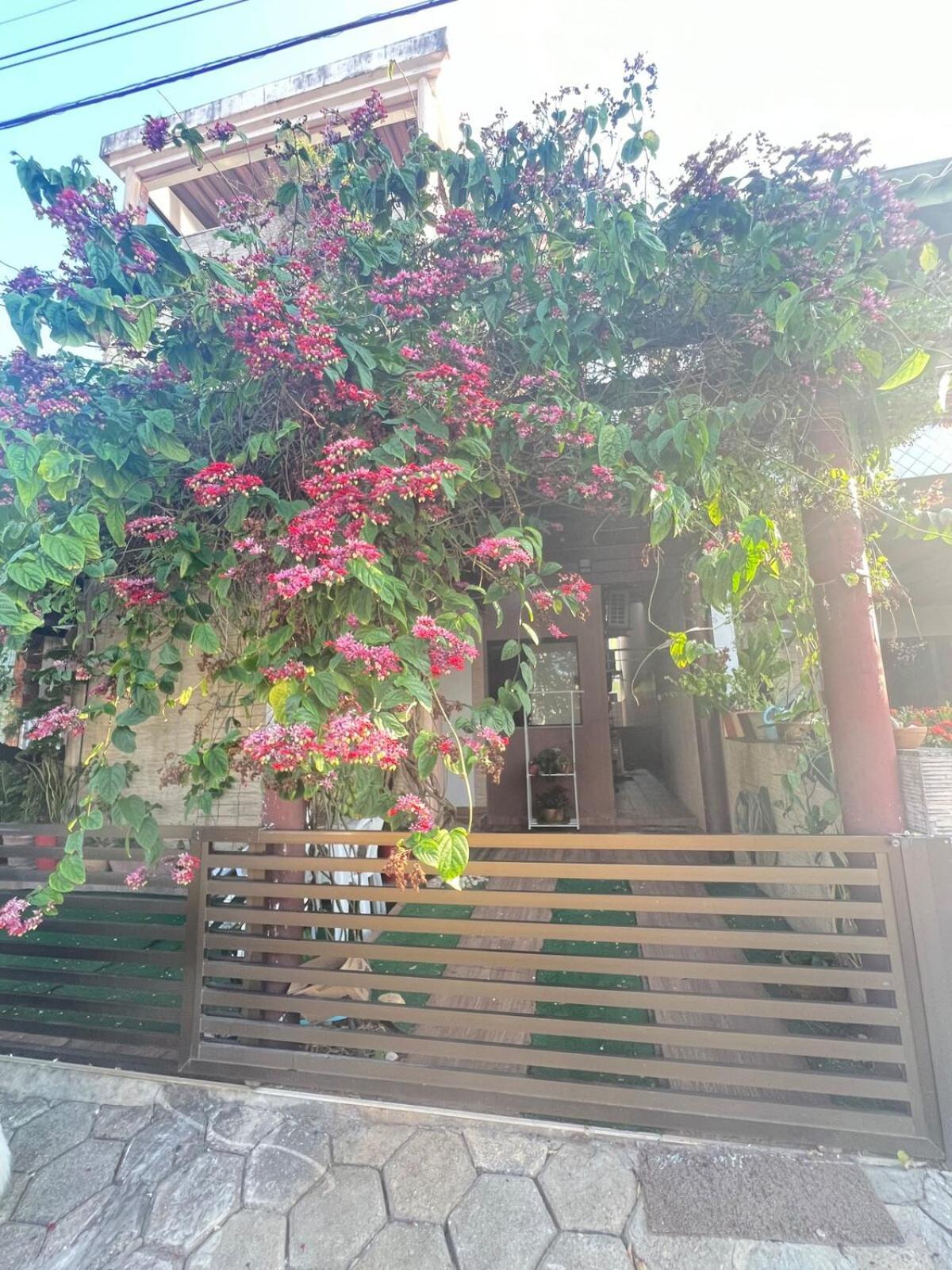 Apartamento Praias Do Flamengo Em Casa Tomasoni *
